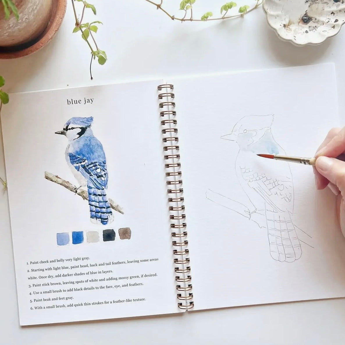Watercolor Workbook | Birds