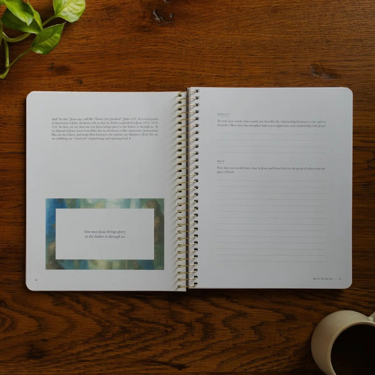 Bible Study | Forty Sayings of Jesus