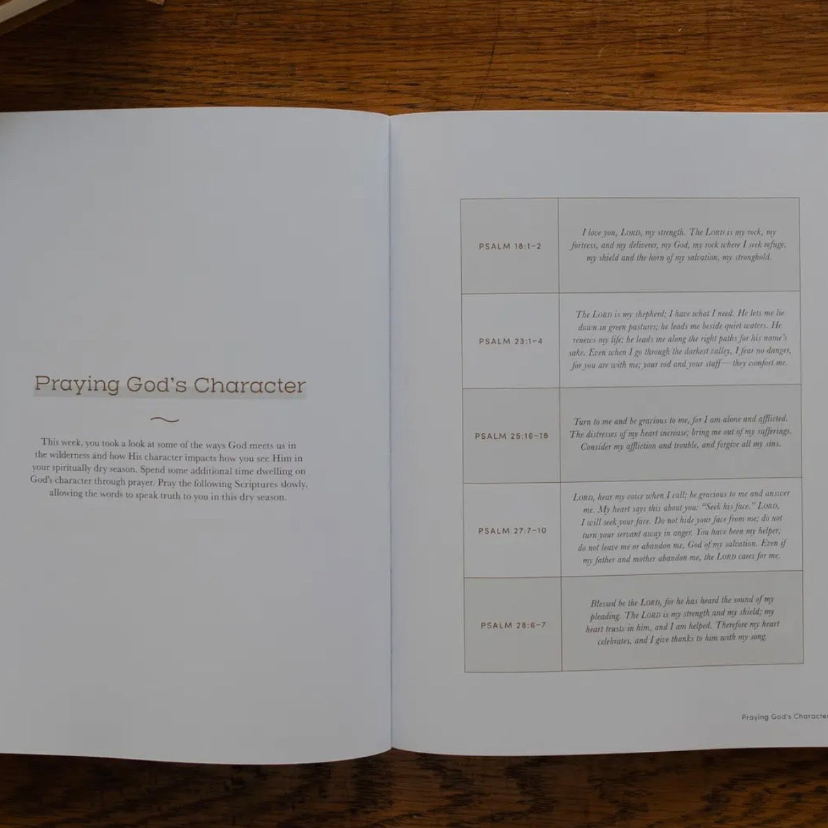 Bible Study | Rivers Of Renewal