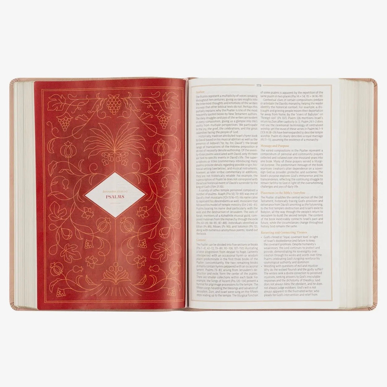 CSB Women's Study Bible | Sonora