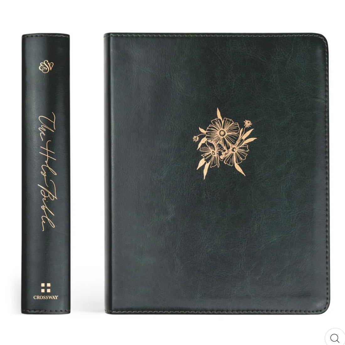 Hyde Park ESV Journaling Bible