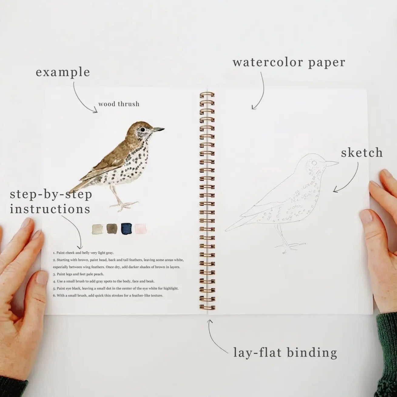 Watercolor Workbook | Birds