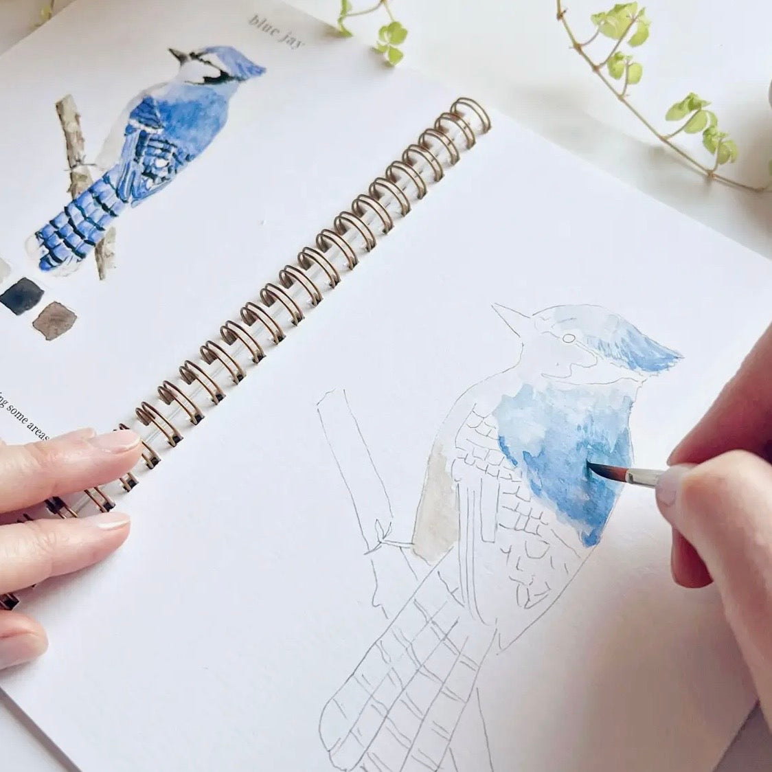 Watercolor Workbook | Birds