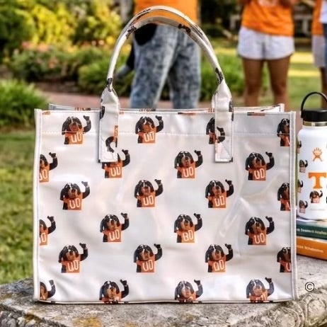 Smokey Vinyl Tote Bag