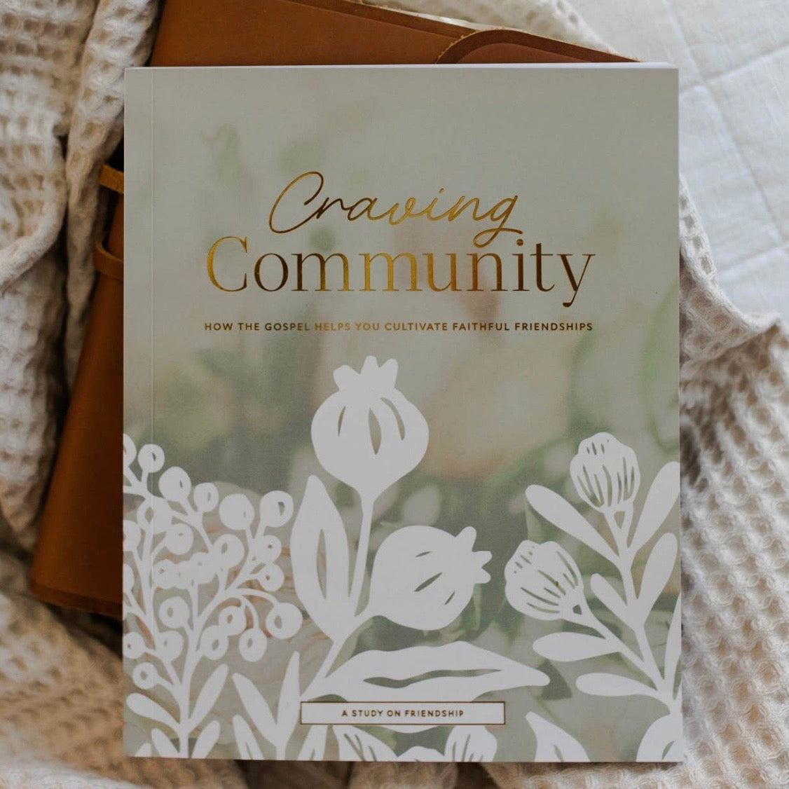 Bible Study | Craving Community