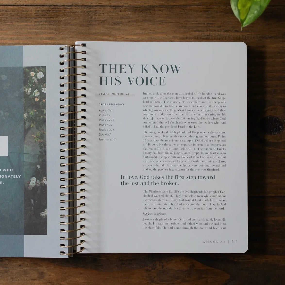 Come and See | An Invitation To Know and Trust Jesus More Than Ever Before