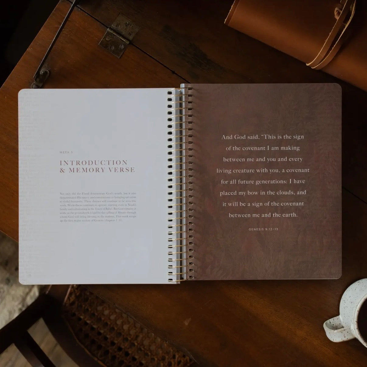 Bible Study | Genesis