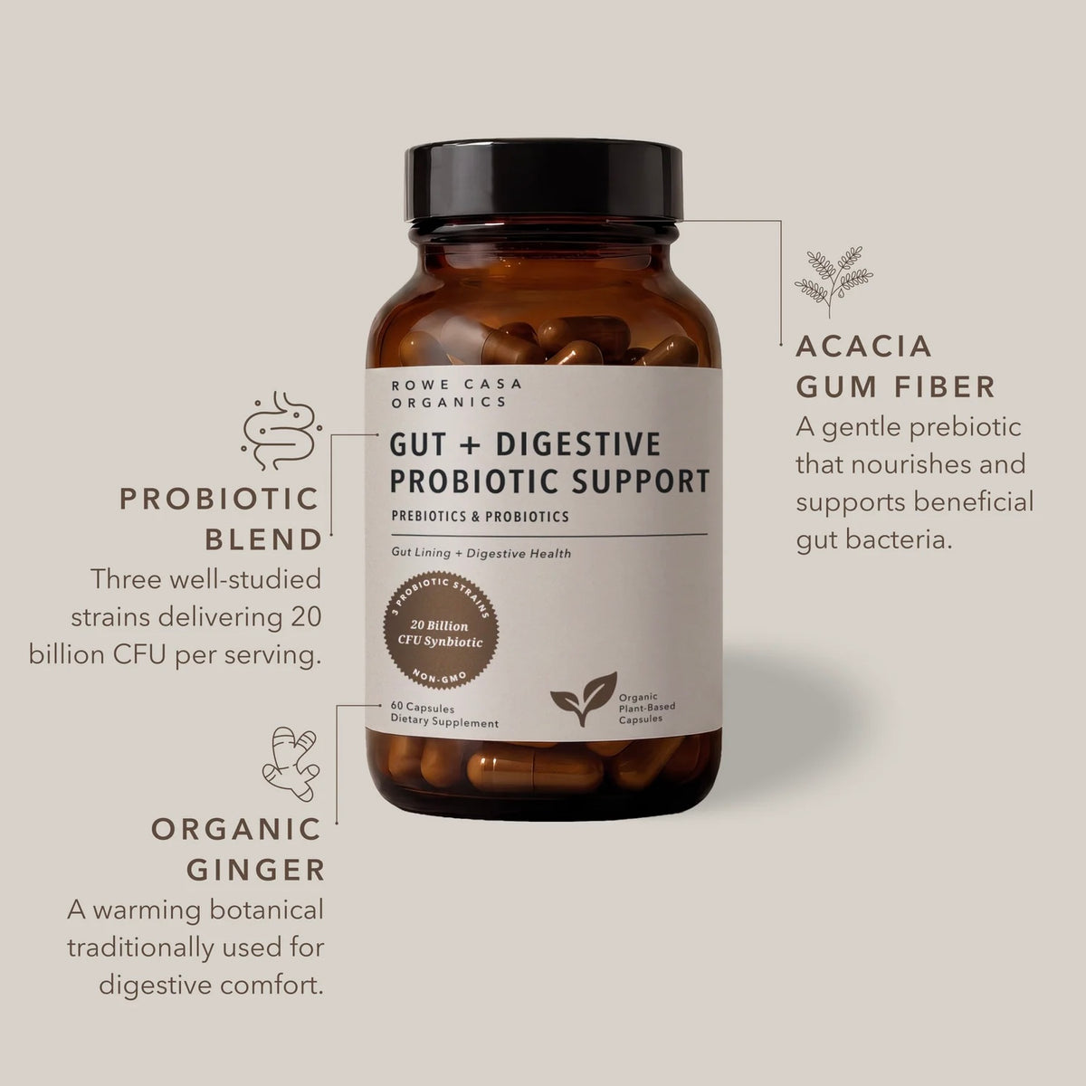 Rowe Casa Gut + Digestive Probiotic Support