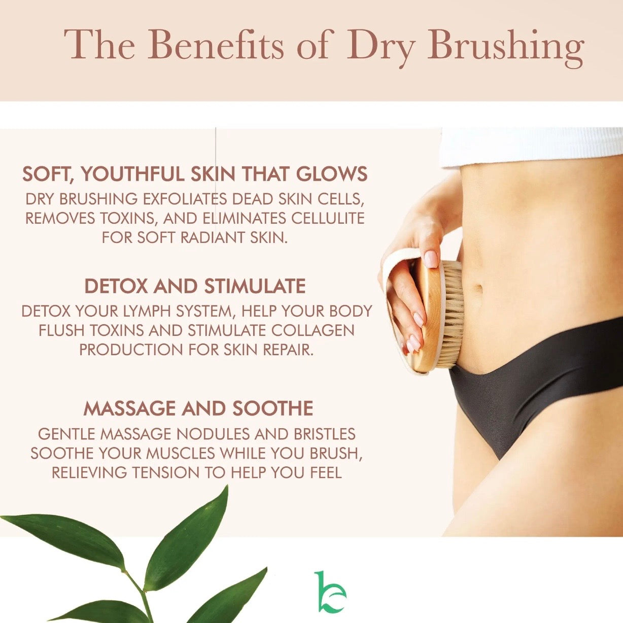 Dry Brushing Body Brush with Cellulite Massager