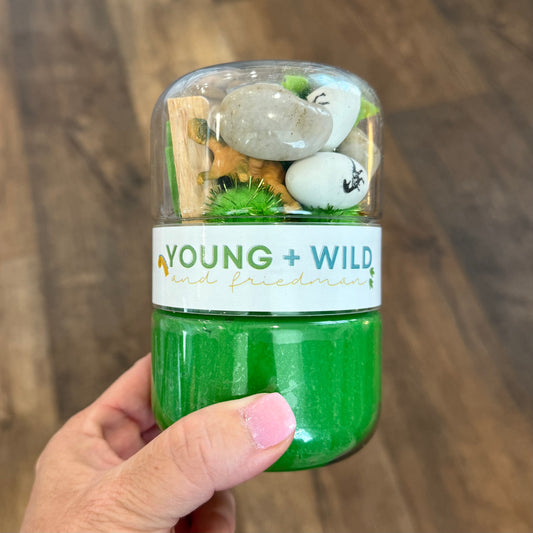 YWF Grab & Go Dough | Dinosaur