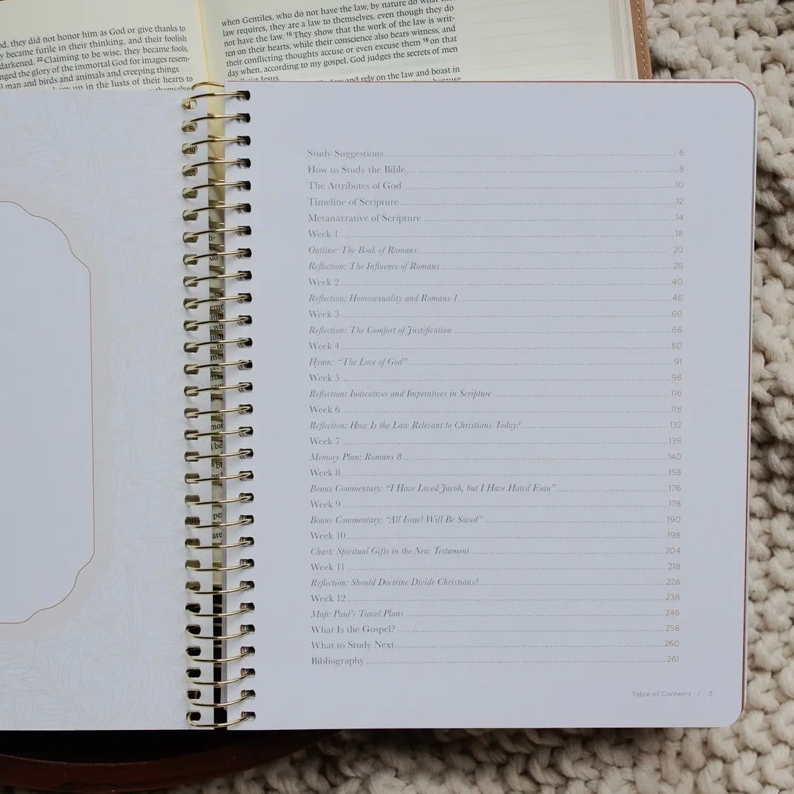 In Christ Alone: A Study On the Book of Romans
