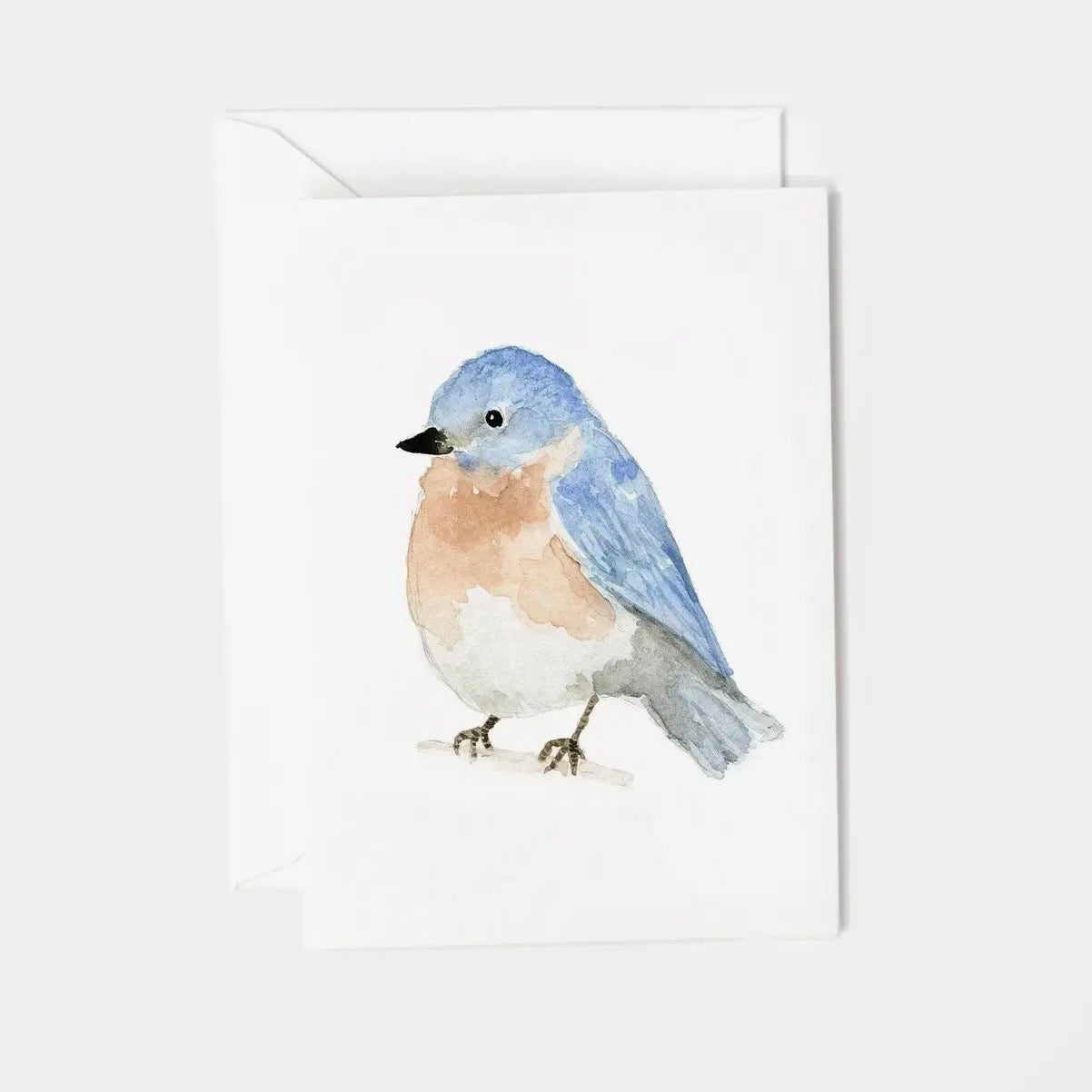 Mini Enclosure Notecard | Assorted