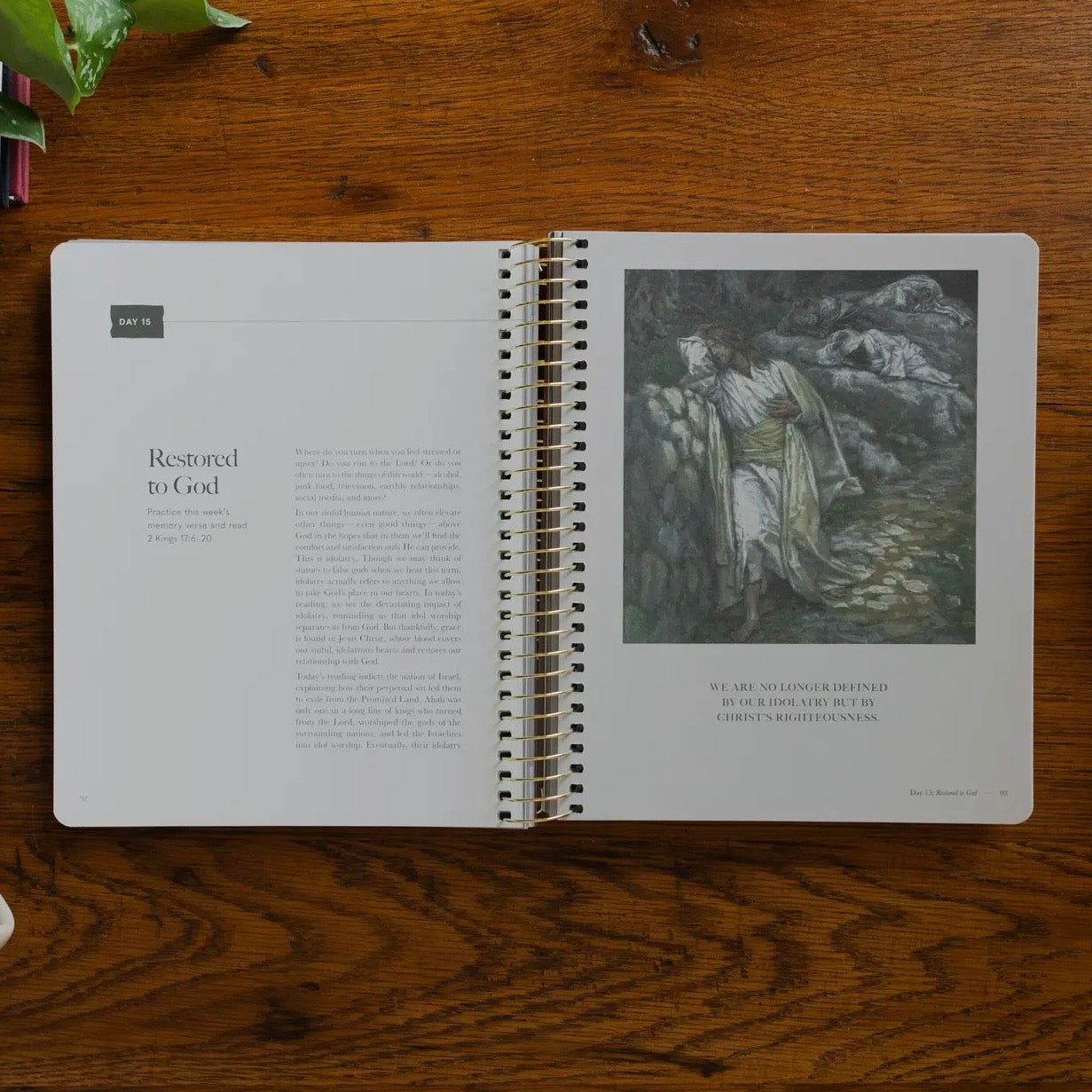 Bible Study | Clinging To the Cross