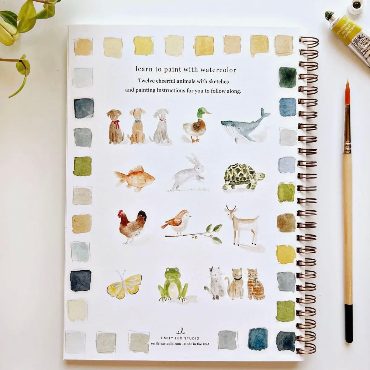 Watercolor Workbook | Animals