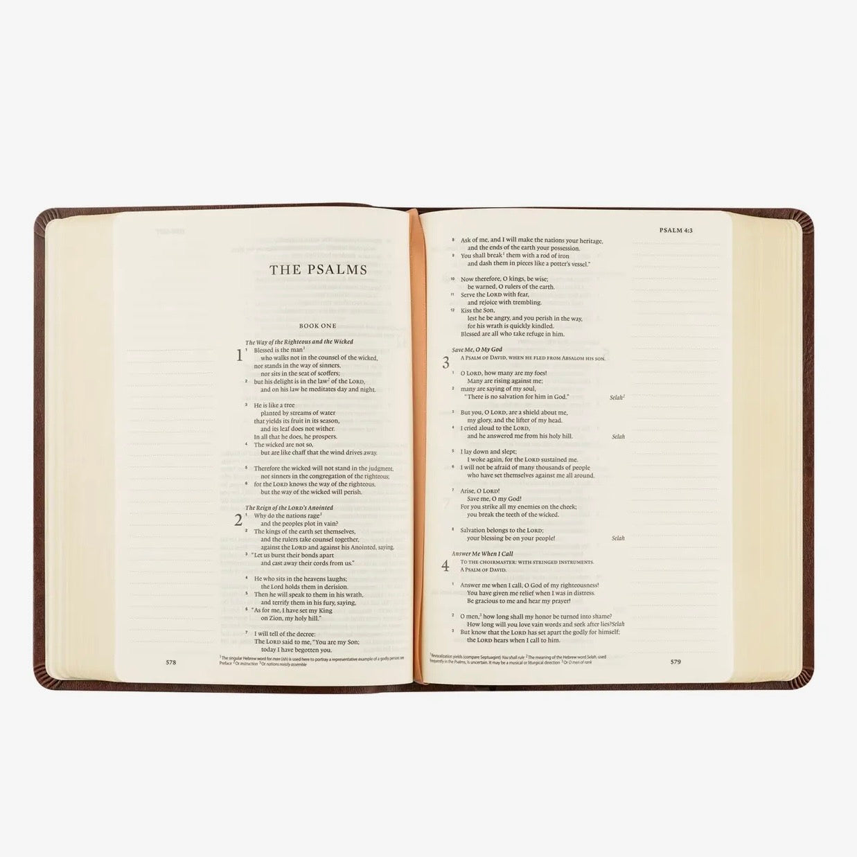 ESV Journaling Bible | Palma
