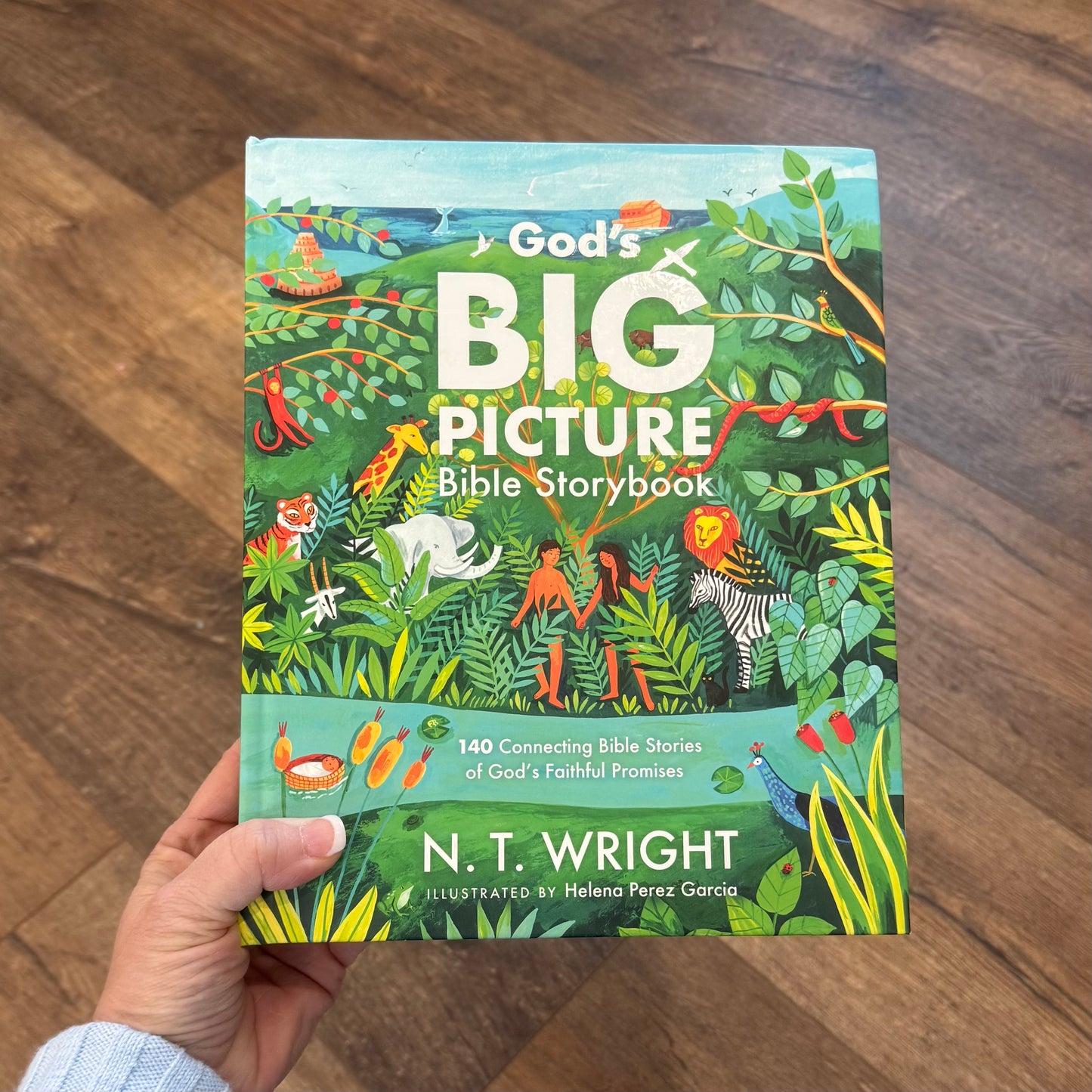 God’s Big Picture Bible Storybook