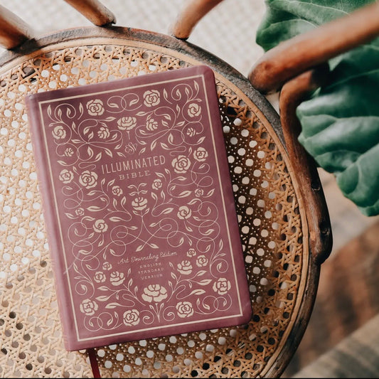 ESV Illuminated Journaling Bible