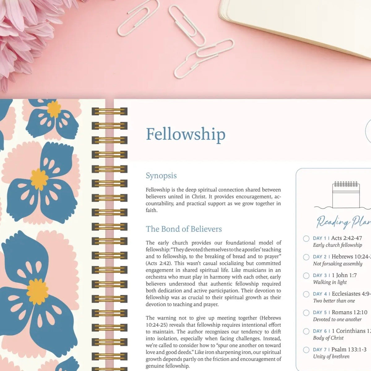 The Bible in A Year: A 52-Week Study