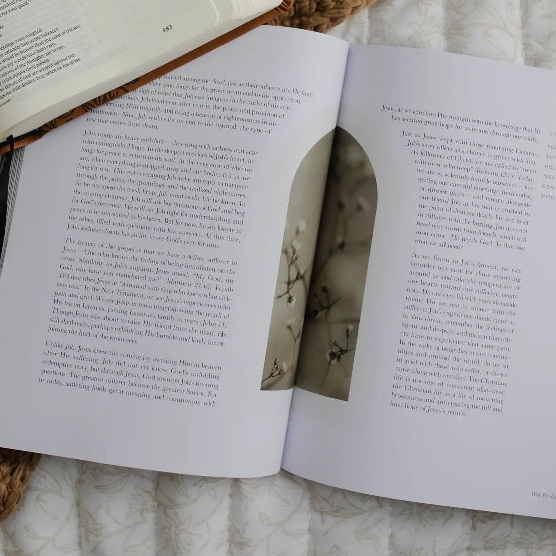 Sacred Suffering | A Study On the Book of Job