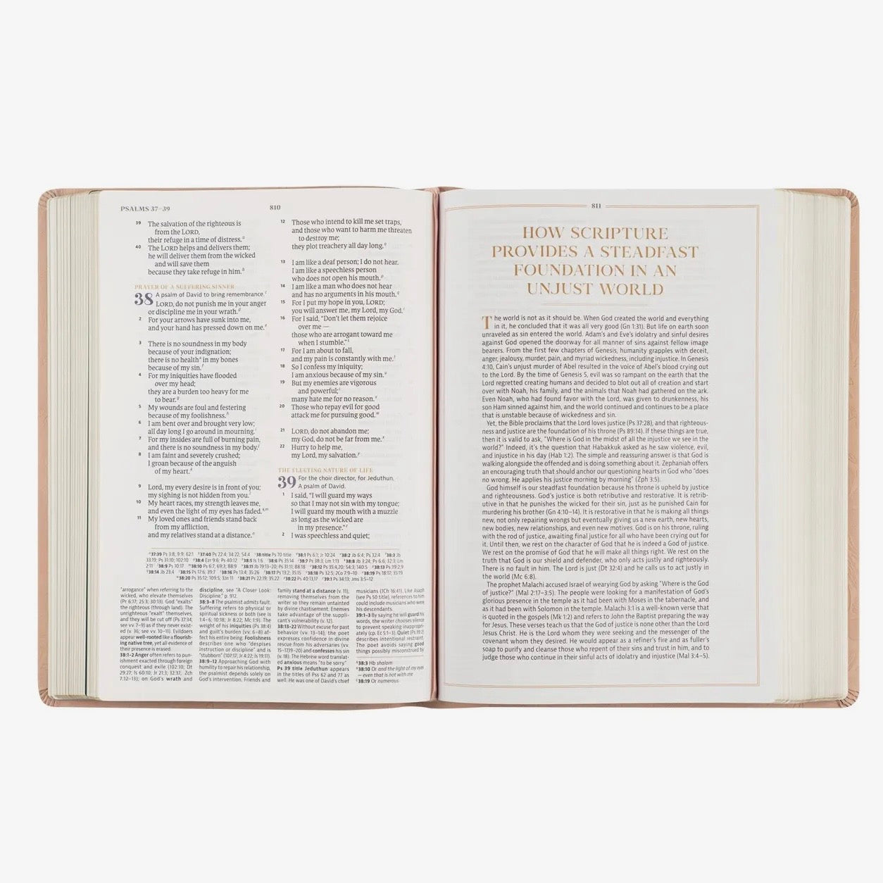 CSB Women's Study Bible | Sonora