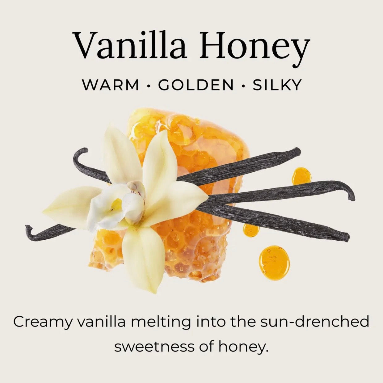 Little Seed Farm Natural Deodorant Cream | Vanilla Honey