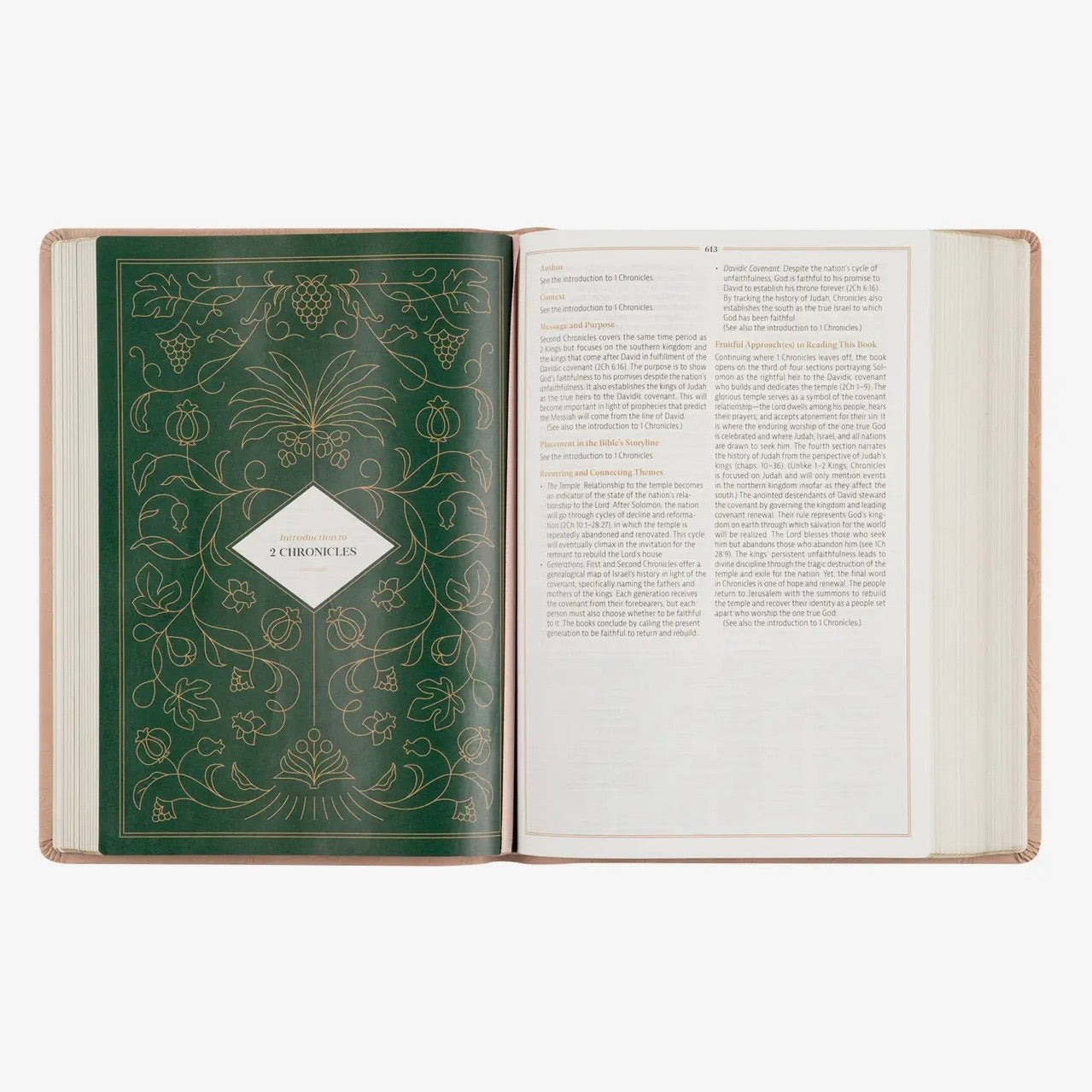 CSB Women's Study Bible | Sonora