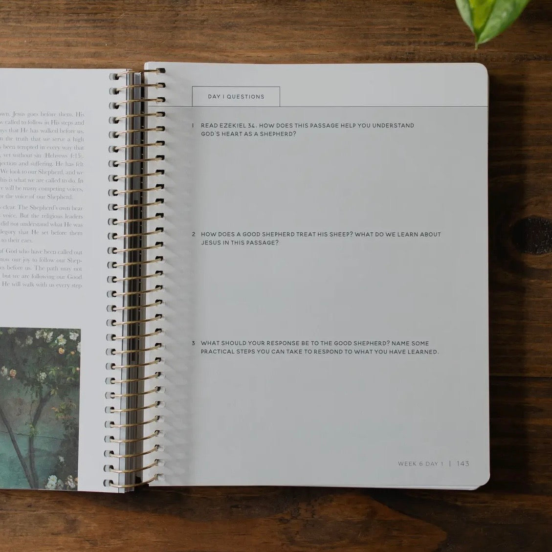 Come and See | An Invitation To Know and Trust Jesus More Than Ever Before