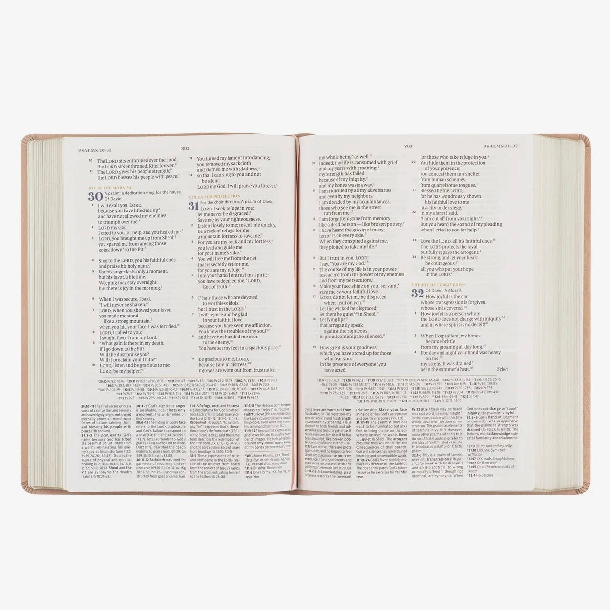 CSB Women's Study Bible | Sonora