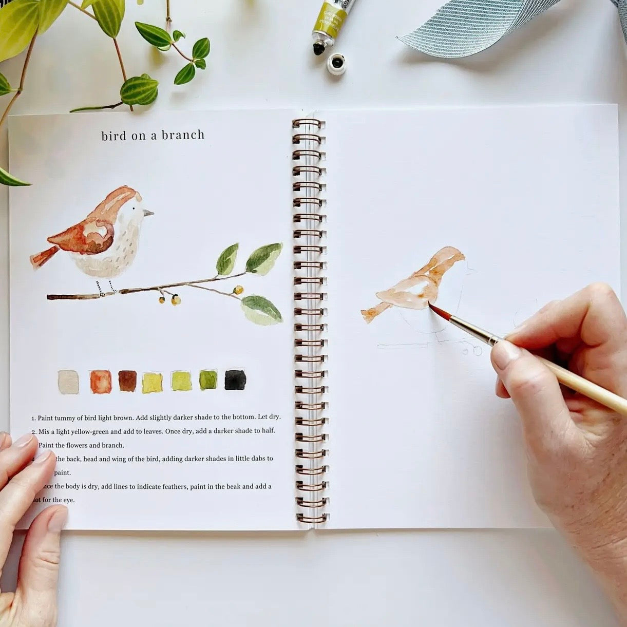 Watercolor Workbook | Animals