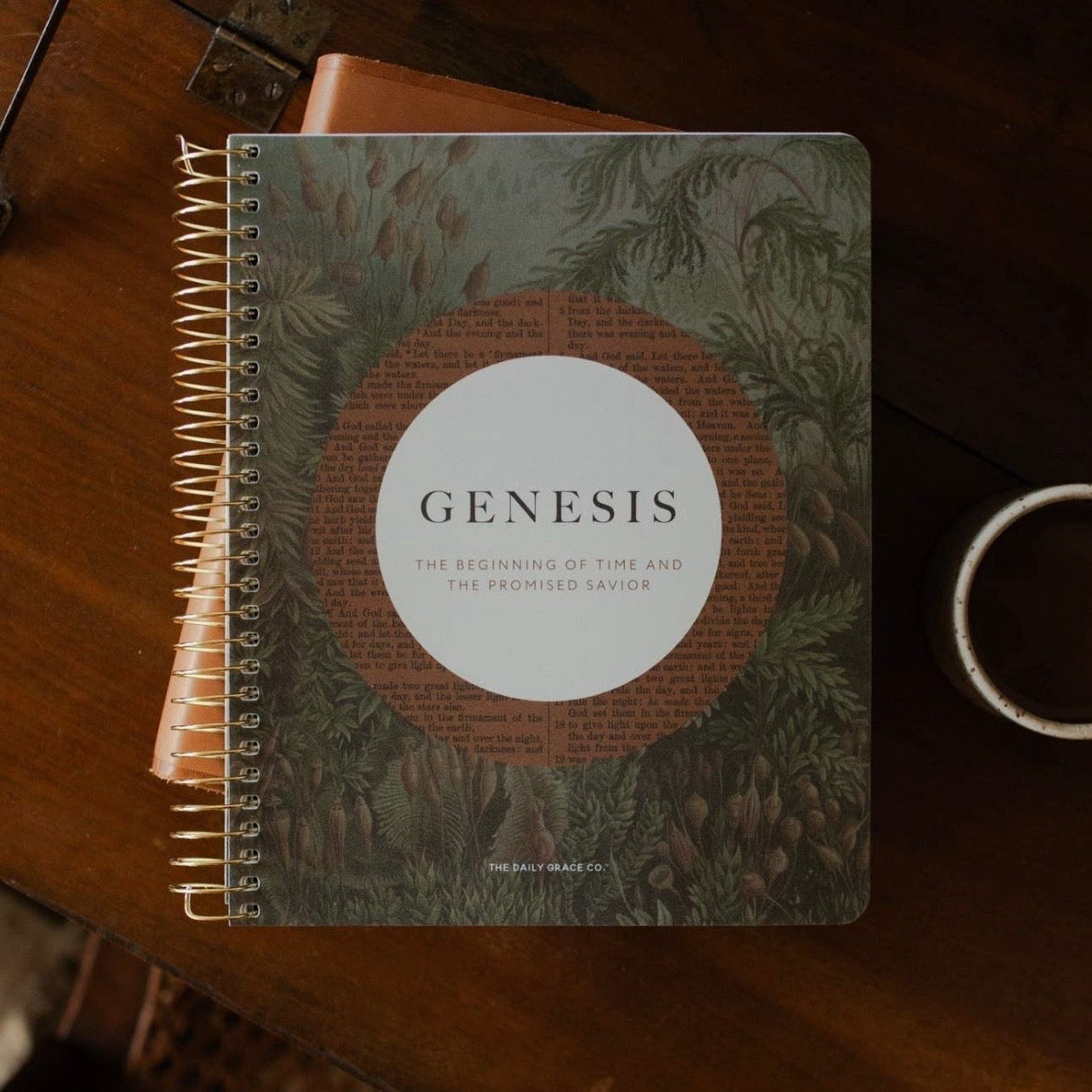 Bible Study | Genesis