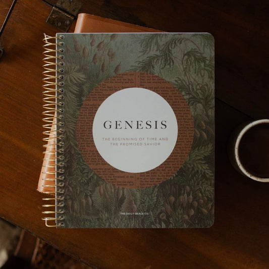 Bible Study | Genesis