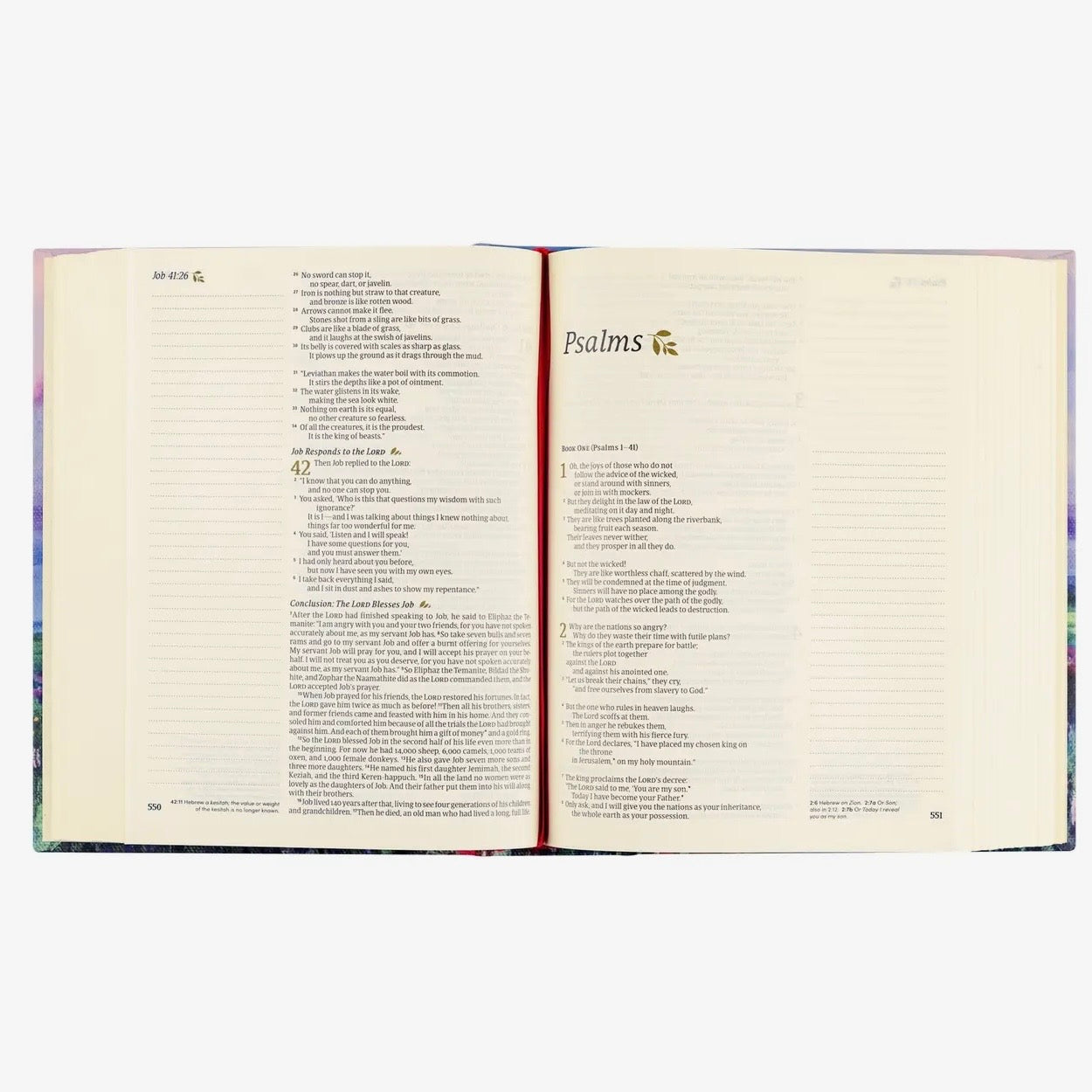 NLT Notetaking Bible | Cana