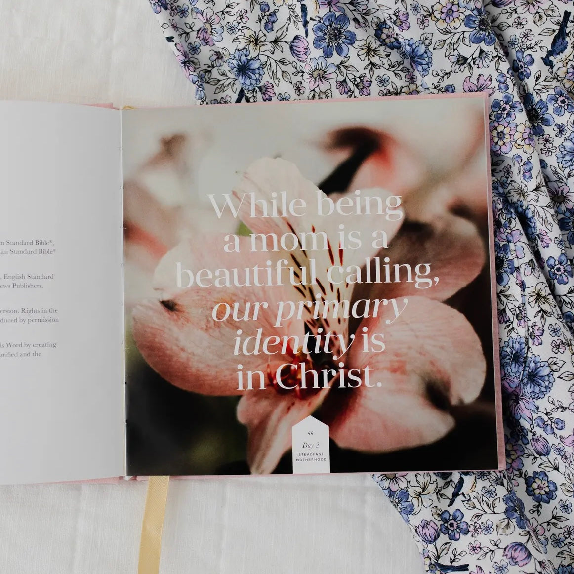 Steadfast Motherhood | 60 Days of Abiding In Christ Devotional