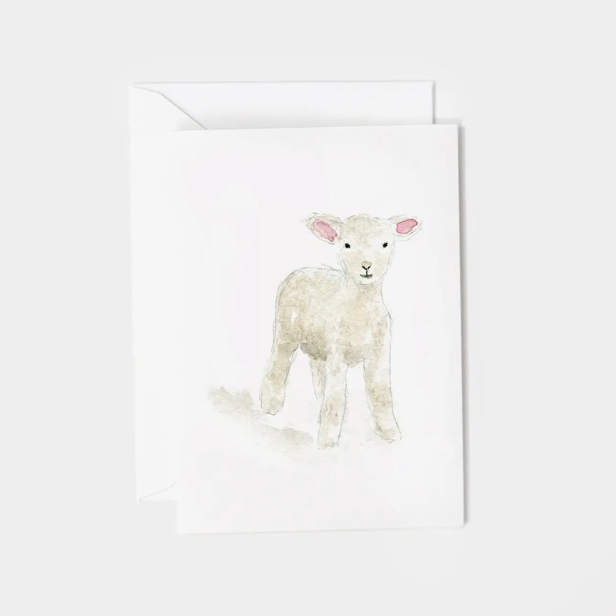 Mini Enclosure Notecard | Assorted