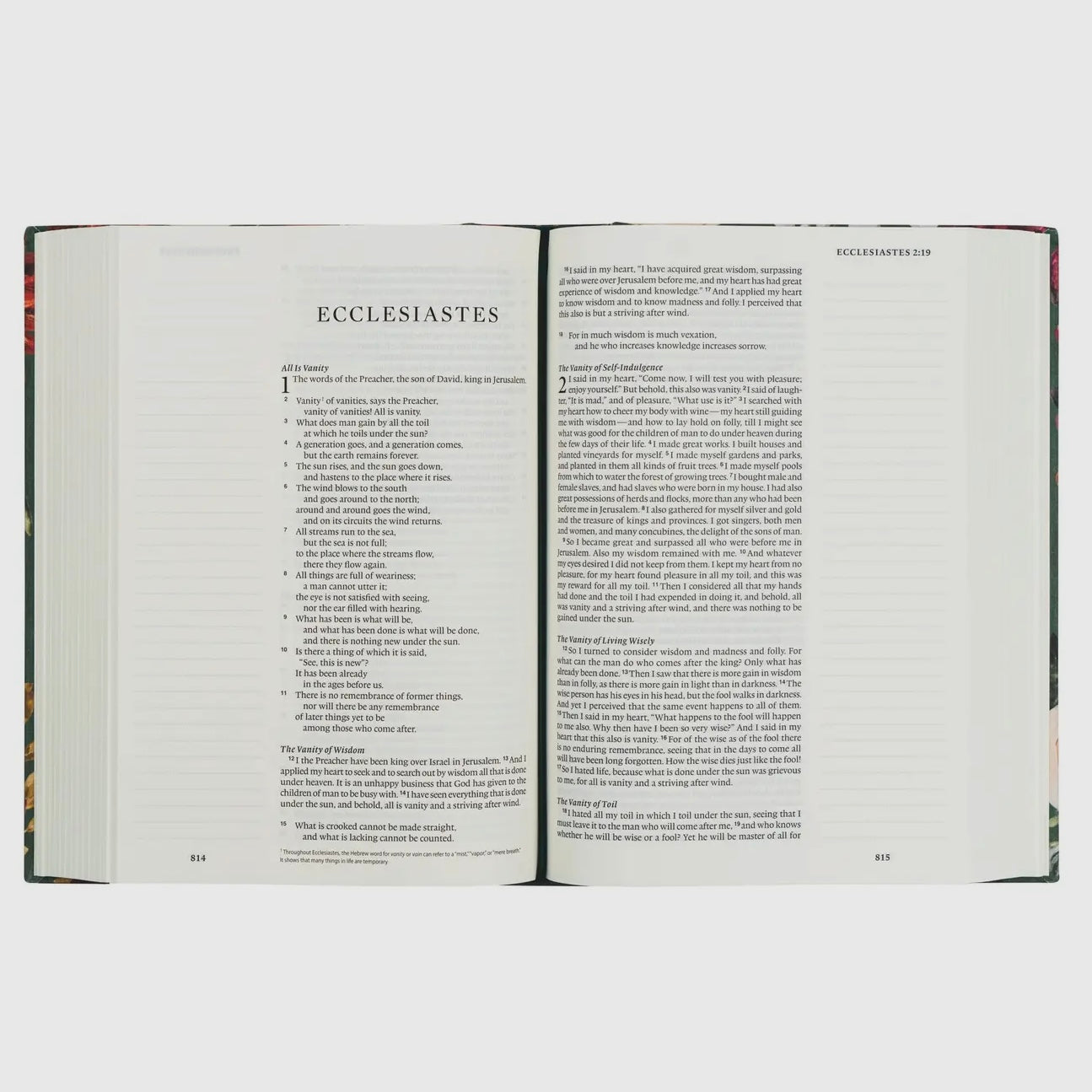 ESV Large Print Journaling Bible | Hollis