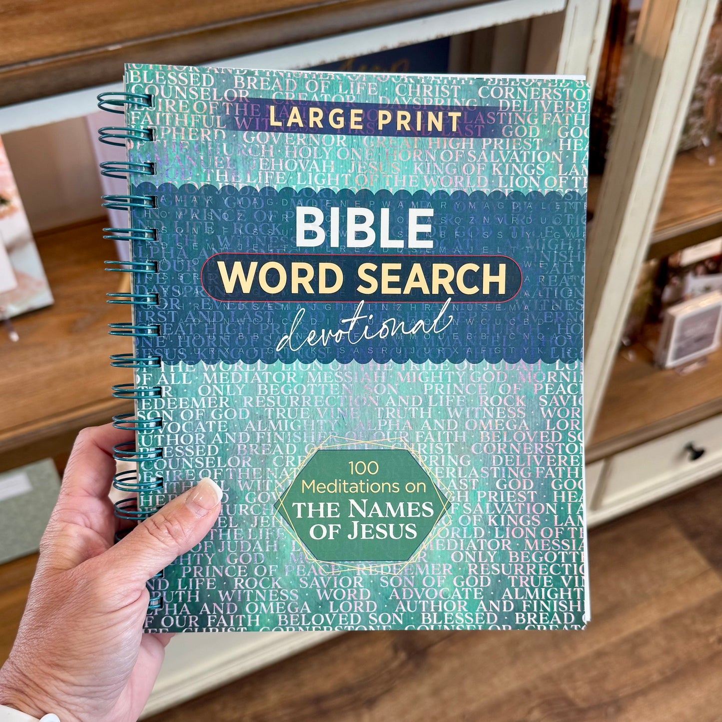 Bible Word Search | 100 Meditations On the Names of Jesus