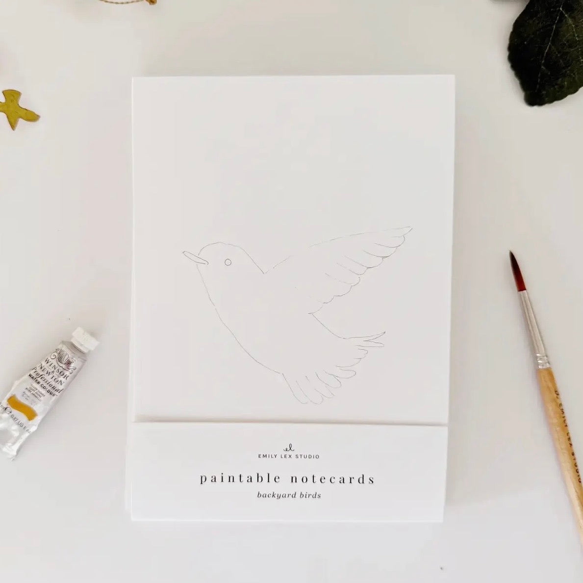 Paintable Watercolor
Notecard Set
 | Birds