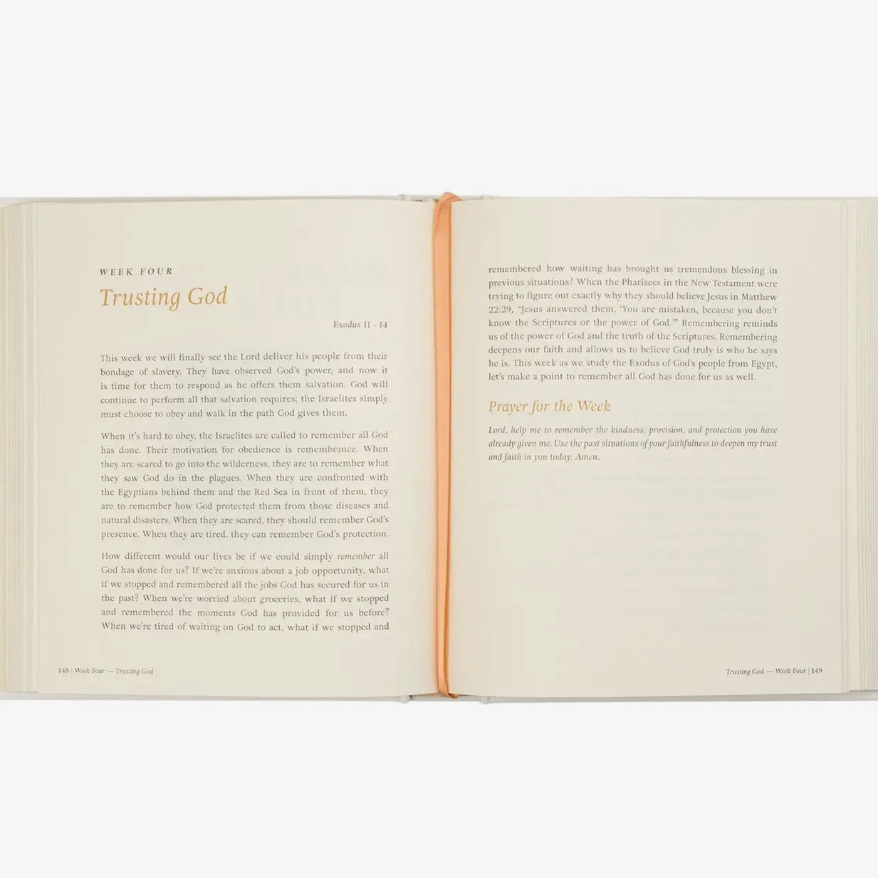 Hosanna Bible Study | Beyond Egypt