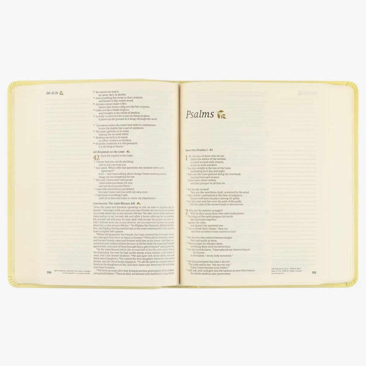 NLT Notetaking Bible | Belfast