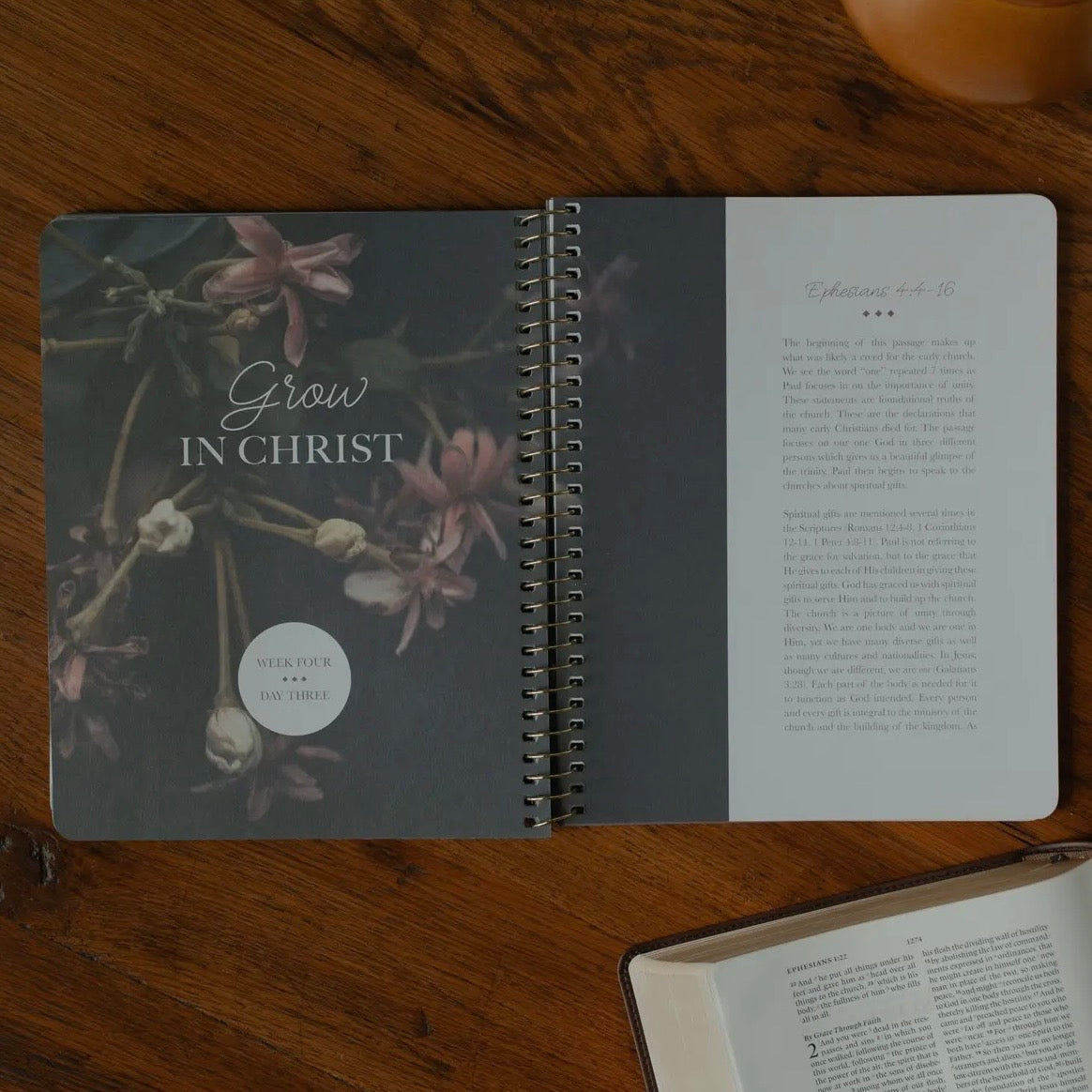 Chosen | Ephesians Study