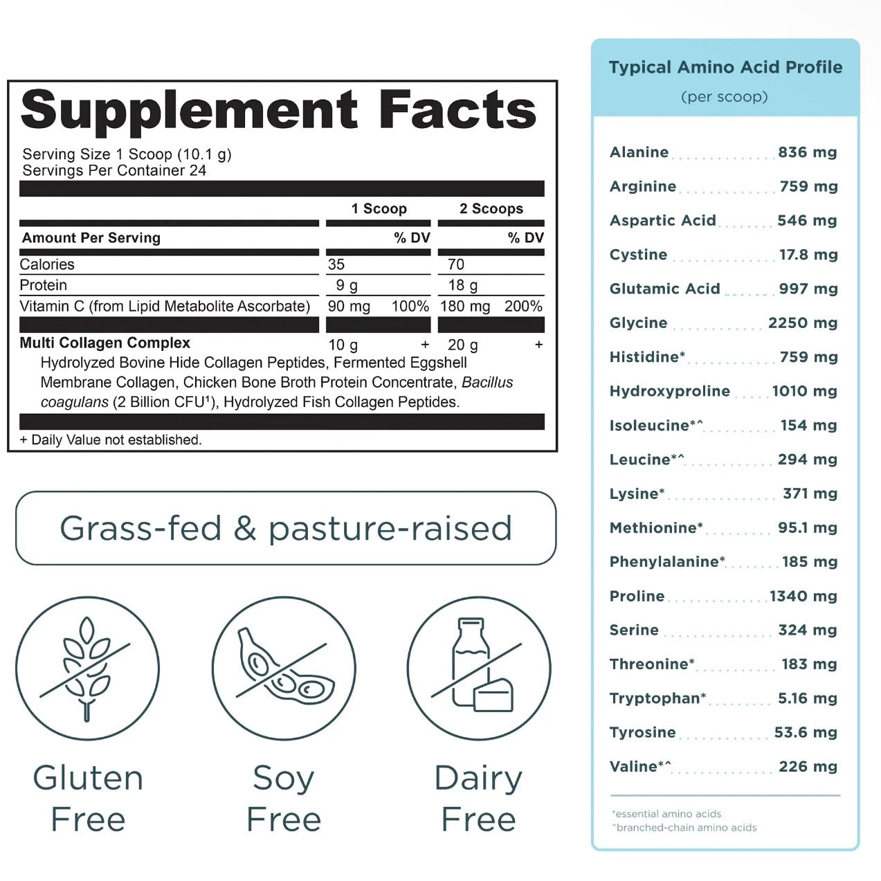 Multi Collagen Protein | Powder Unflavored (24 Servings)