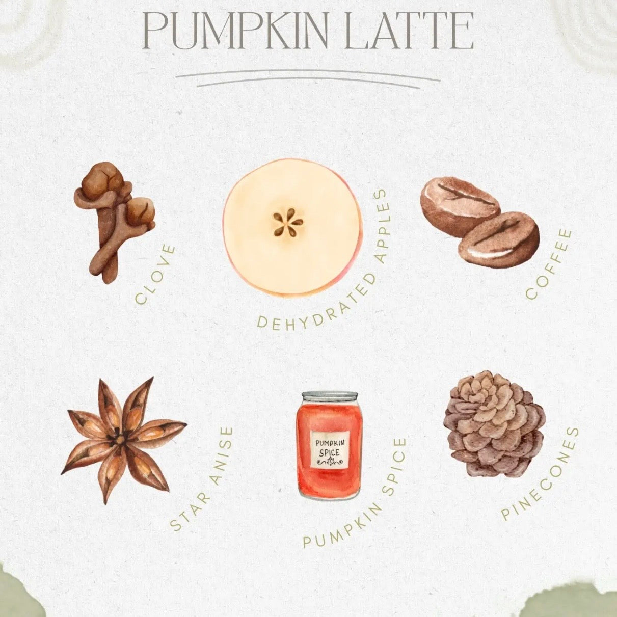 Simmer Pot | Pumpkin Latte