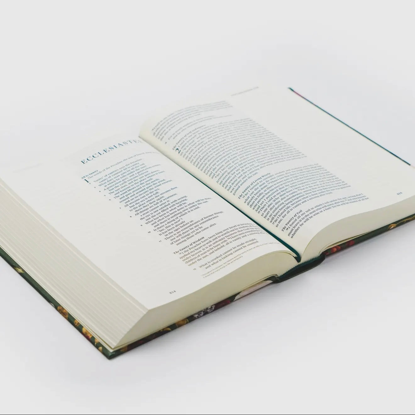 ESV Large Print Journaling Bible | Hollis