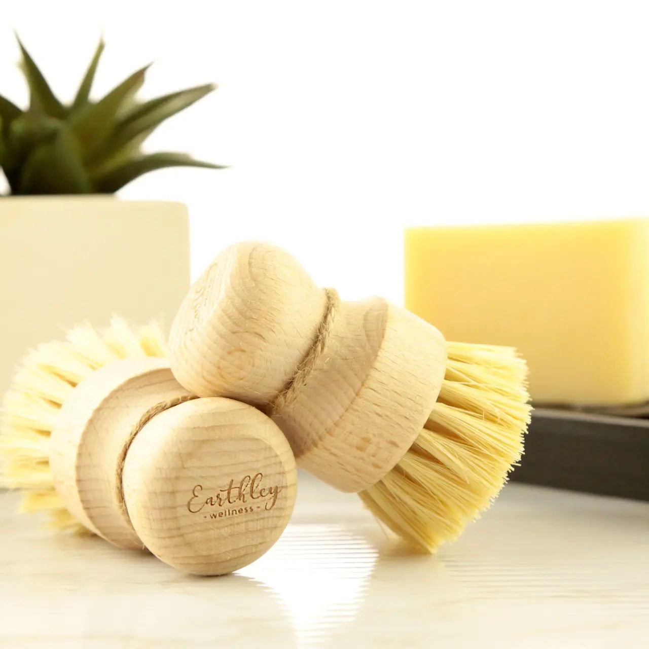 Earthley | Dish Brush