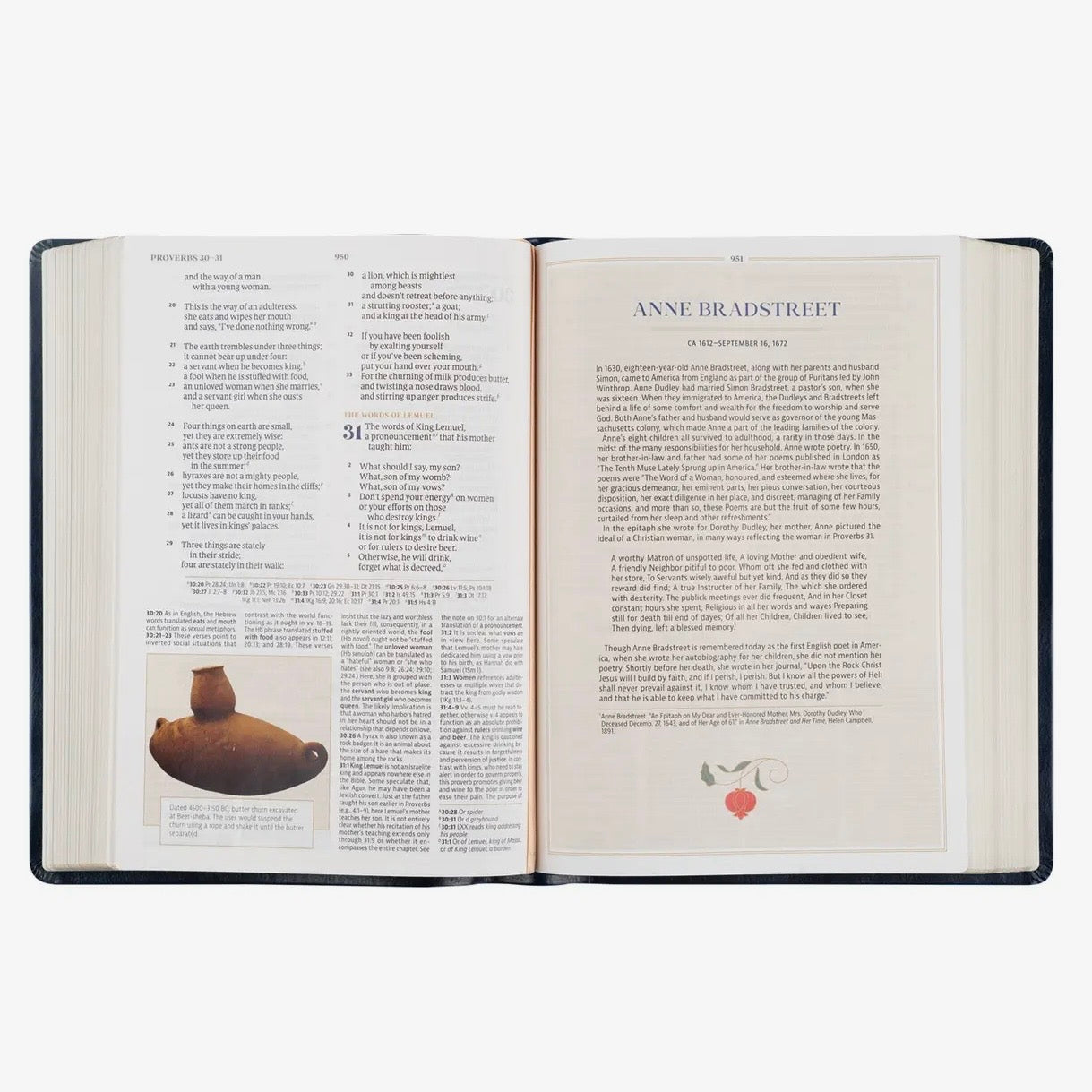 CSB Women's Study Bible | Versailles