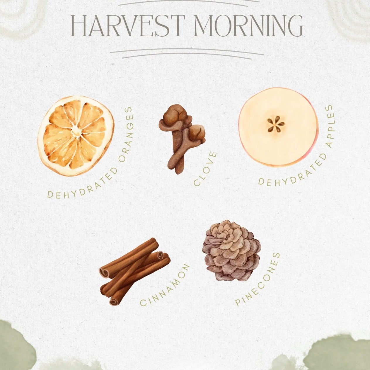 Simmer Pot | Harvest Morning