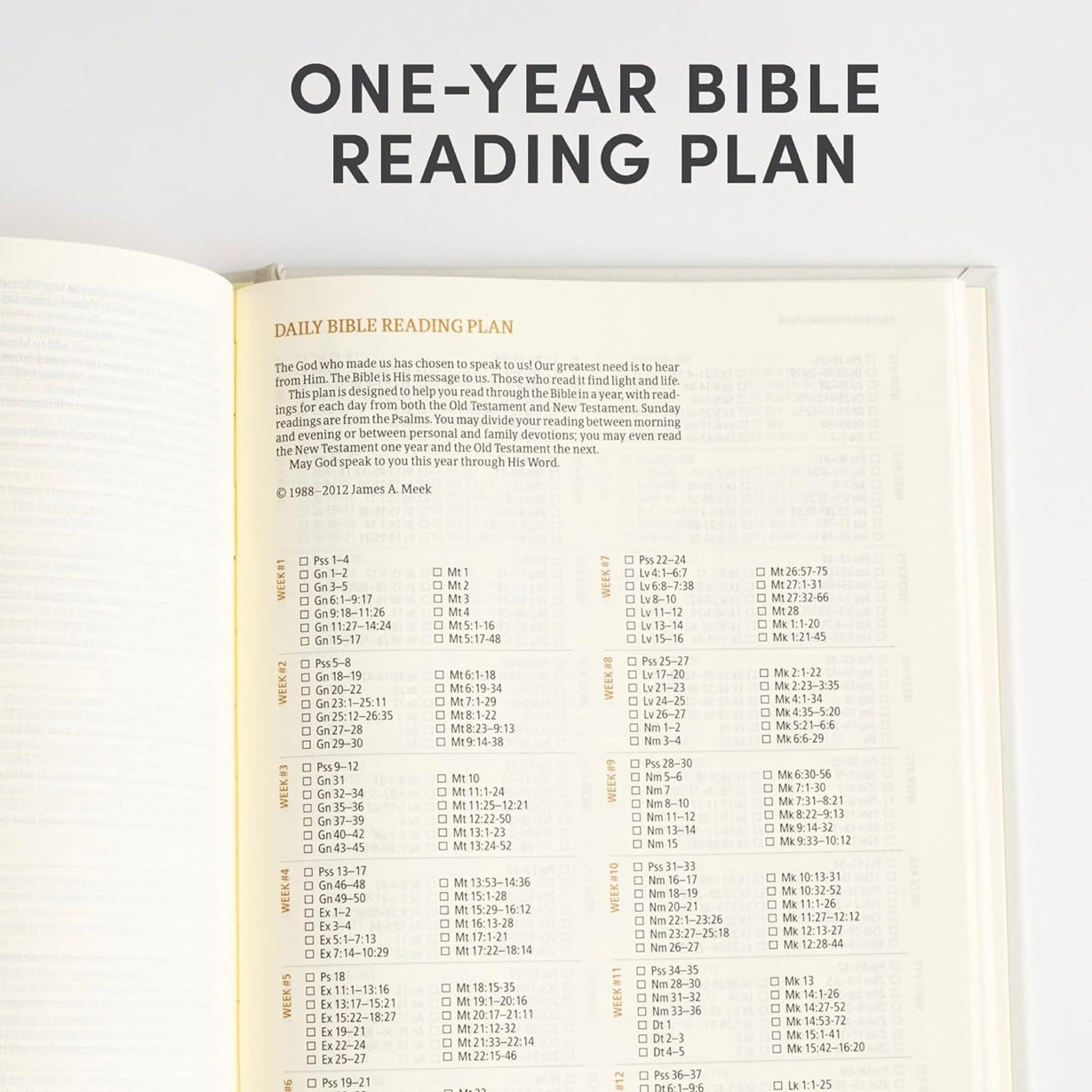 CSB Notetaking Bible | Lemons