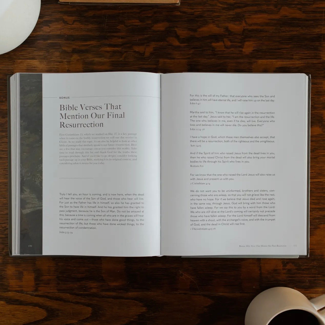 Bible Study | Clinging To the Cross (Hardcover)