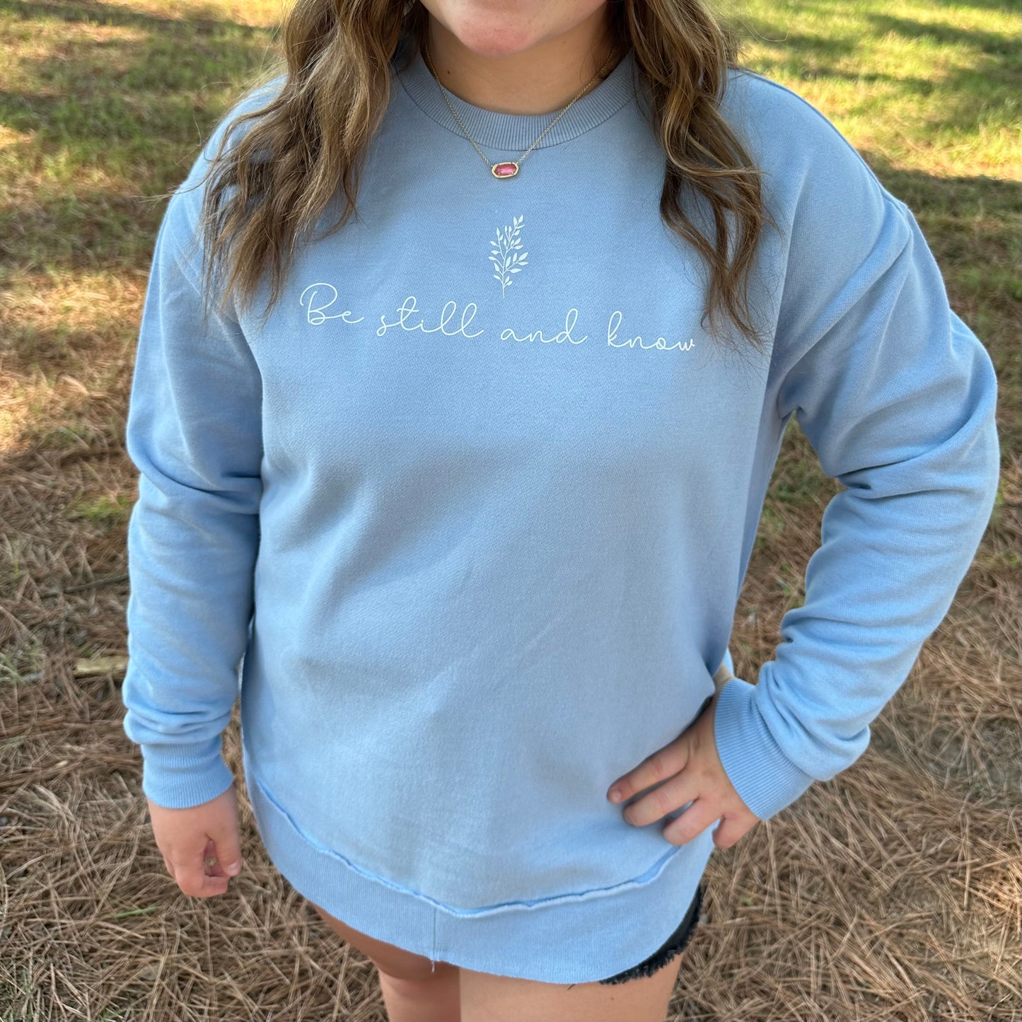 Royce Sweatshirt - Carolina Blue