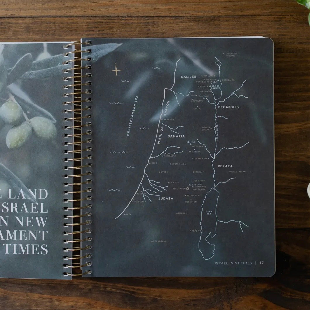 Come and See | An Invitation To Know and Trust Jesus More Than Ever Before